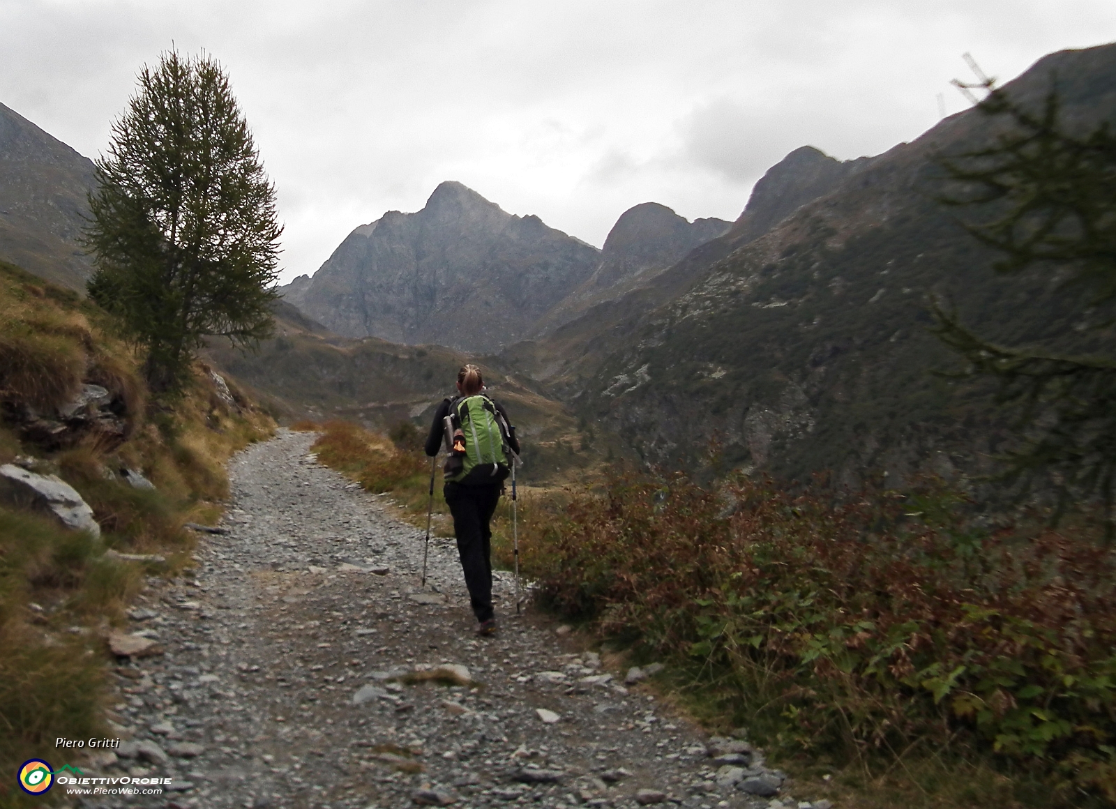 04 Salendo dal Prato del lago sulla sterrata-segnavia 254 verso il Rif. Longo....JPG